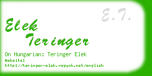elek teringer business card